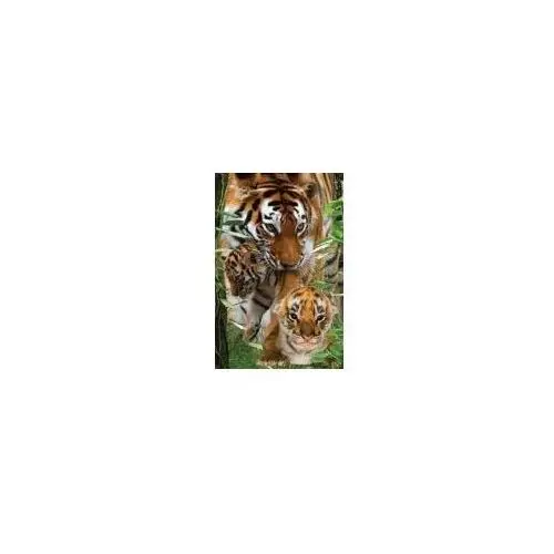 Mini kartka 3D Tygrys